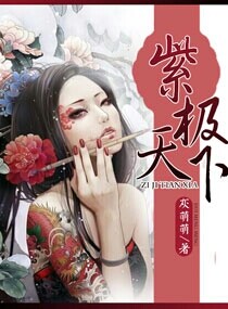 灰萌萌紫极天下