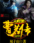 双子山三国之曹茗传