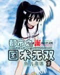 鱼儿小小都市之国术无双