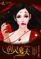 羽落辰汐冥婚暗宠：阴灵鬼夫