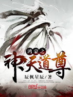 辰枫星辰鸿蒙之神天道尊