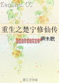 重生之楚宁修仙传