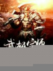 风消逝武极宗师