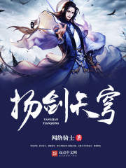 网络骑士扬剑天穹