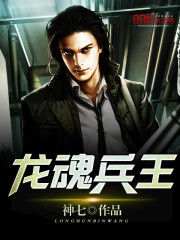 神七龙魂兵王