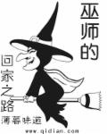 薄暮味道巫师的回家之路