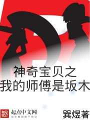 巽煜神奇宝贝之我的师傅是坂木