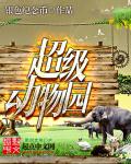 银色纪念币超级动物园