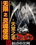 天堂之手无限之灵魂使徒