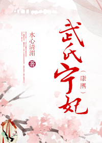 水心清湄武氏宁妃（康熙）