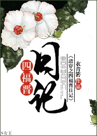 衣青箬清穿之四福晋日记