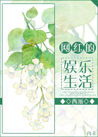 西淅网红的直播生活