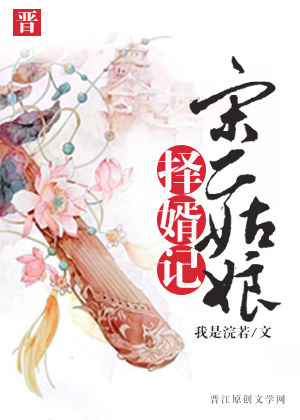 我是浣若宋二姑娘择婿记