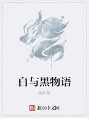 此石白与黑物语