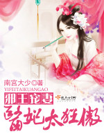 南宫大少邪王宠妻，医妃太狂傲！