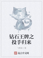 飞熊骑士钻石王牌之投手归来