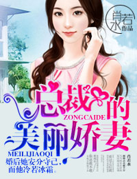 肖若水总裁的美丽娇妻