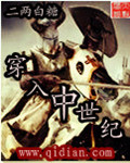 二两白糖穿入中世纪