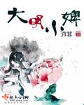 沐非大明小婢