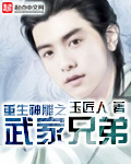 玉匠人重生神雕之武家兄弟