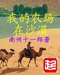 南州十一郎我的农场在沙漠