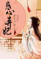 泪小兮惑心弃妃