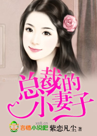 紫恋凡尘总裁的妻子