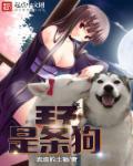 流浪的土猫重生过去变成狗