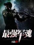 天佑最强军魂