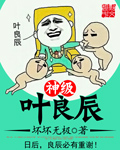 坏坏无极神级叶良辰