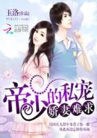 玉洛帝少的私宠：娇妻难求