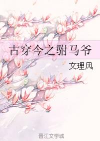 文理风古穿今之驸马爷