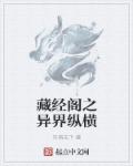 丹琪天下藏经阁之异界纵横
