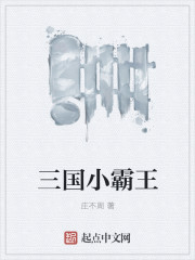 庄不周三国小霸王