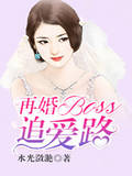 再婚BOSS追爱路