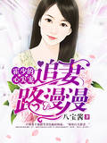 八宝酱霍少的心尖宠：追妻路漫漫