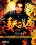 风轻扬凌天战尊