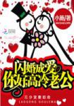 闪婚成爱：你好，高冷老公