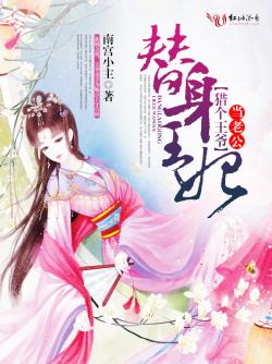 南宫小主替身王妃：猎个王爷当老公